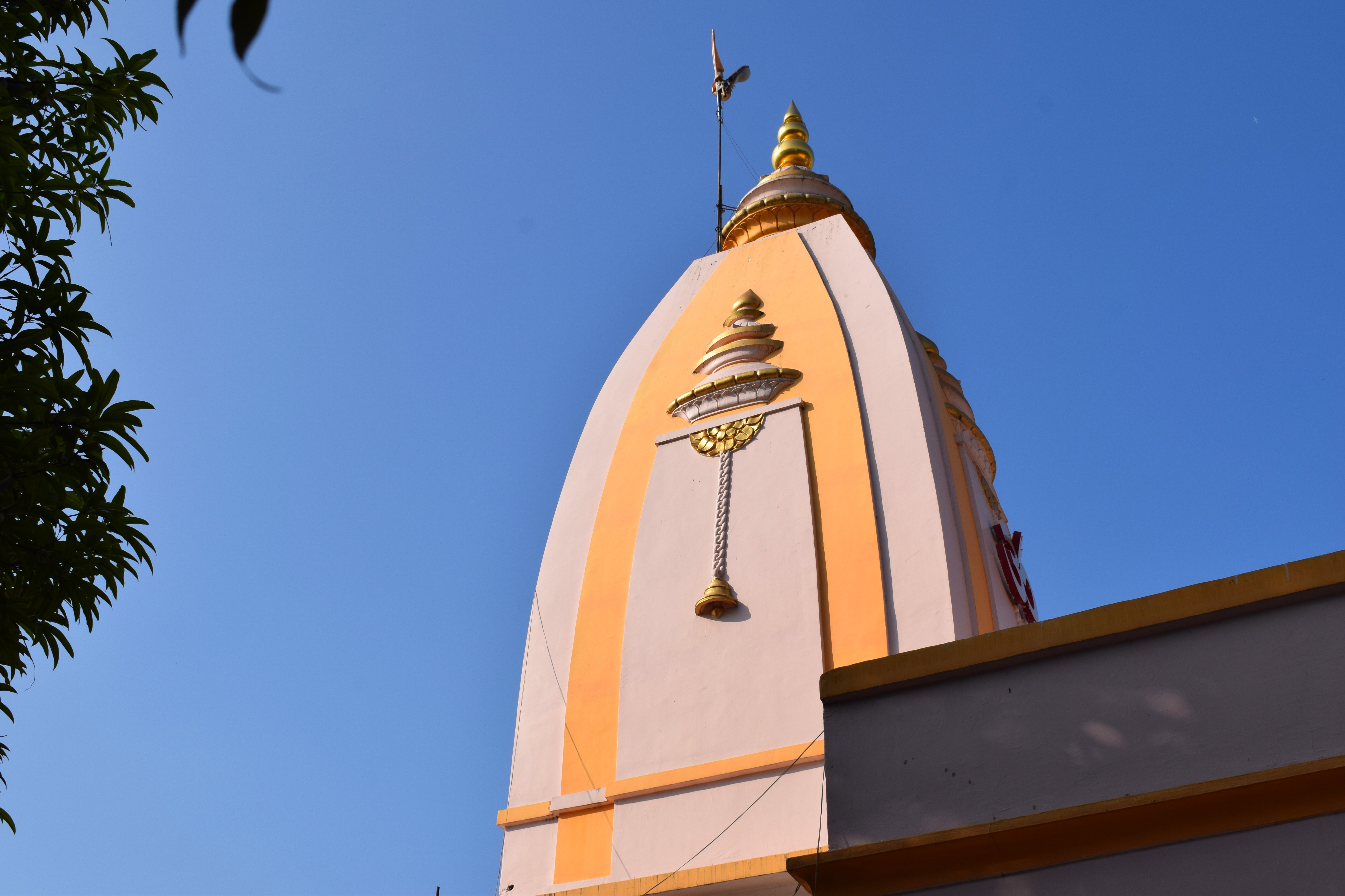 Shri Gurudev Seva Mandal